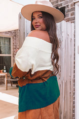 Brown Plus Size Ribbed Trim Color Block Sweater