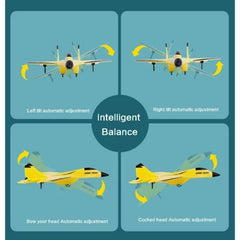 Remote Control Airplane