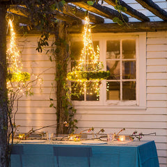 Fairy Lights
