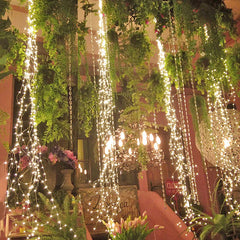 Fairy Lights