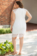 White Plus Size Lace Cap Sleeves Bodycon Midi Dress