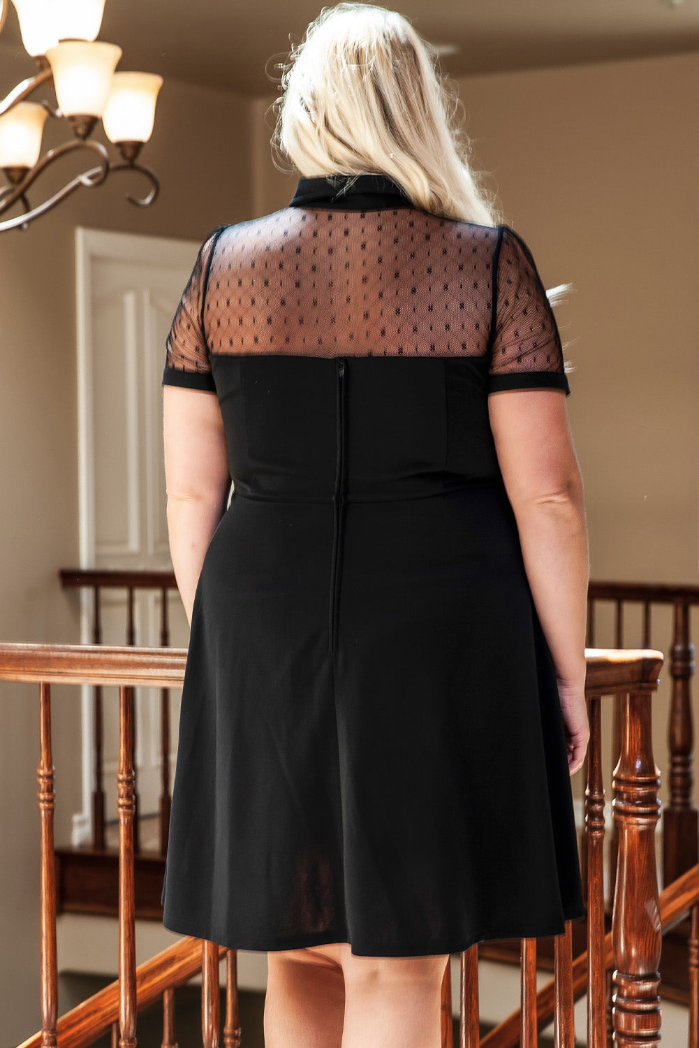 Black Plus Size Collared Mesh Yoke Fit Flare Dress