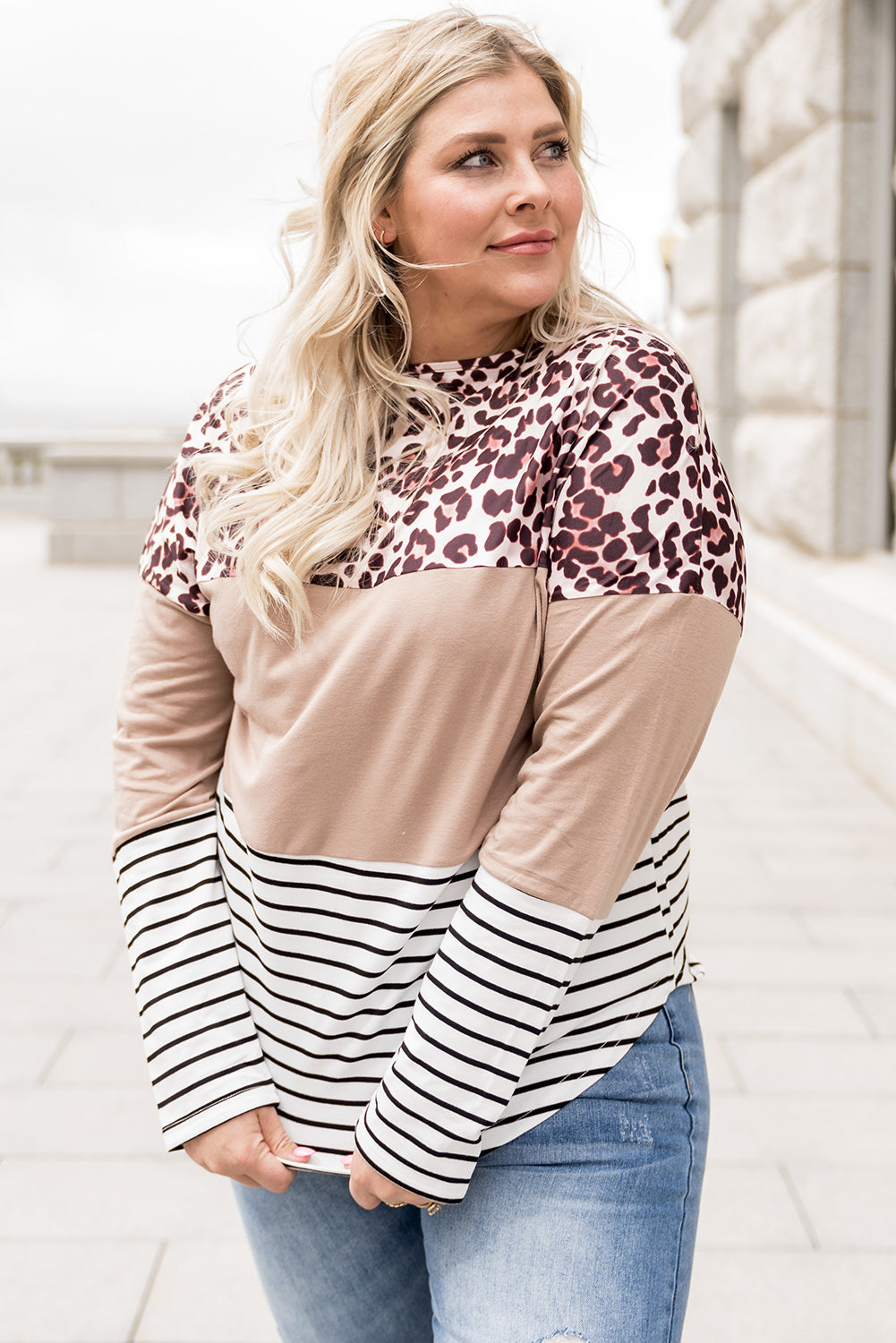 Stripe Leopard Colorblock Striped Long Sleeve Plus Size Top