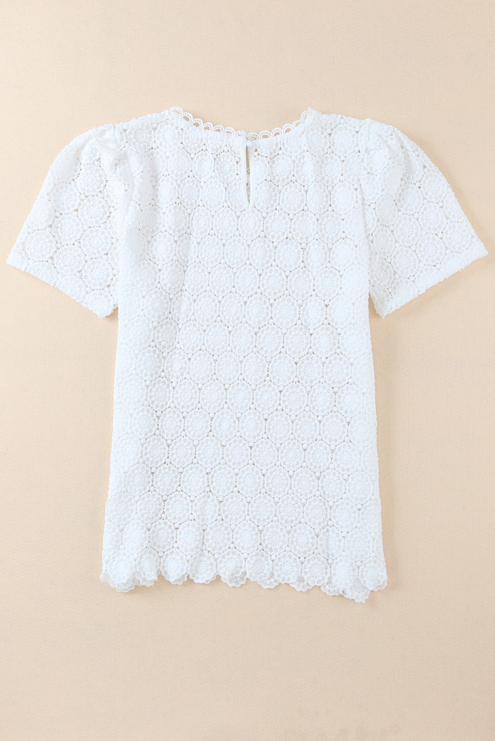 White Crochet Lace Hollowed Short Sleeve Top