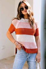 Brown Crochet Knit Colorblock Stripe Top