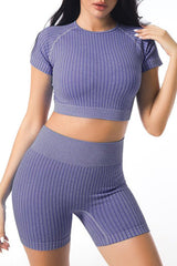 Purple Ribbed Seamless 2 Pieces Active Crop Top High Waist Yoga Set