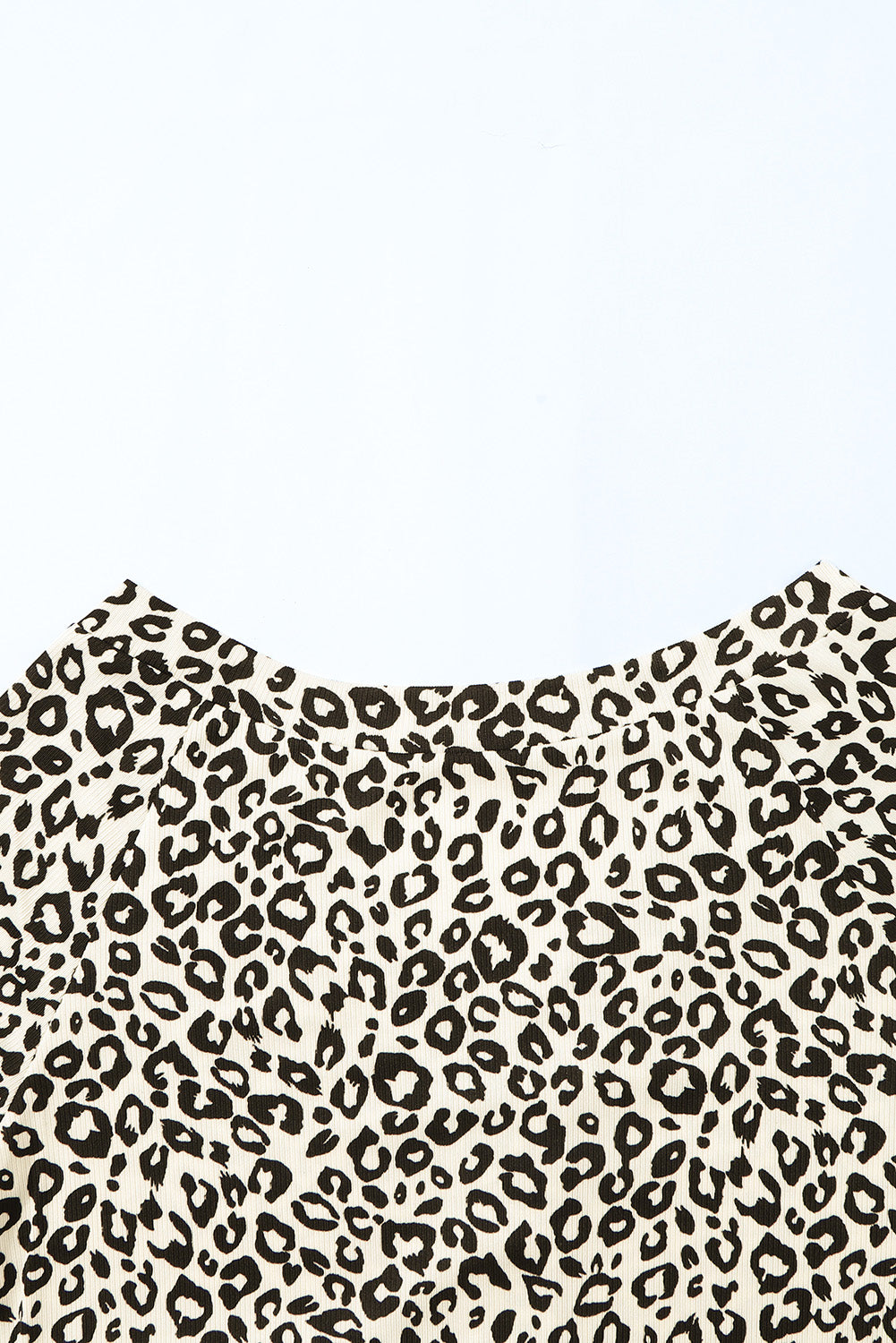 Leopard V Neck Long Sleeve Top