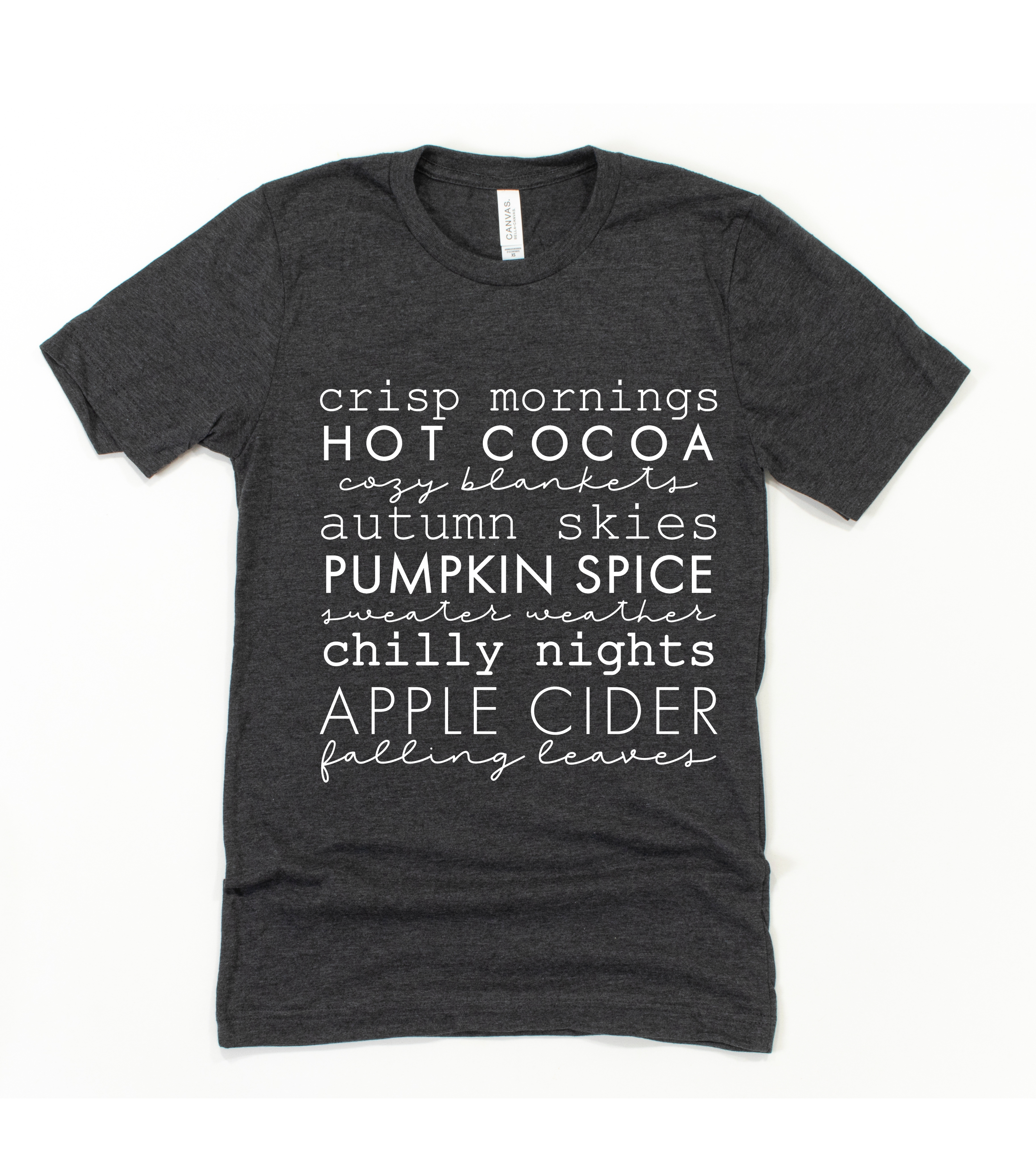 FUN FALL WORDS (BELLA CANVAS T-Shirt)