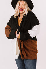 Brown Plus Size Open Front Color Block Cardigan