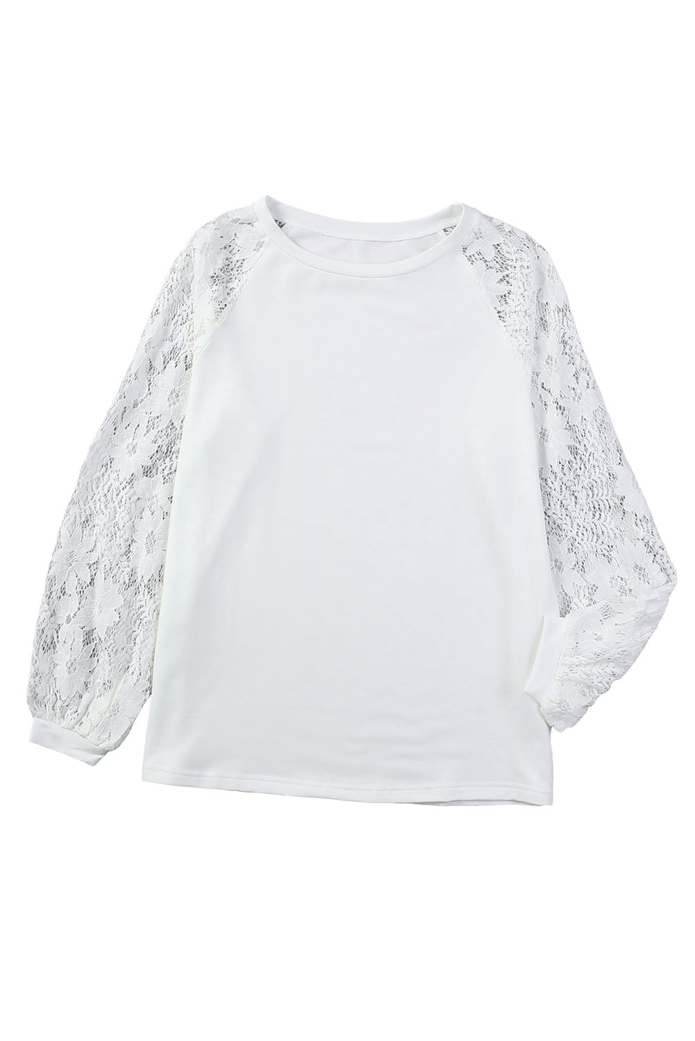 White Lace Crochet Long Sleeve Top