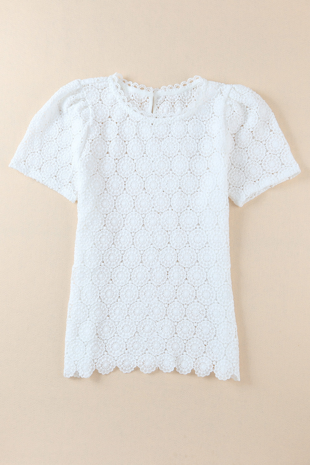 White Crochet Lace Hollowed Short Sleeve Top