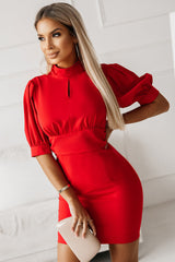 Red High Neck Lantern Sleeves Backless Mini Dress