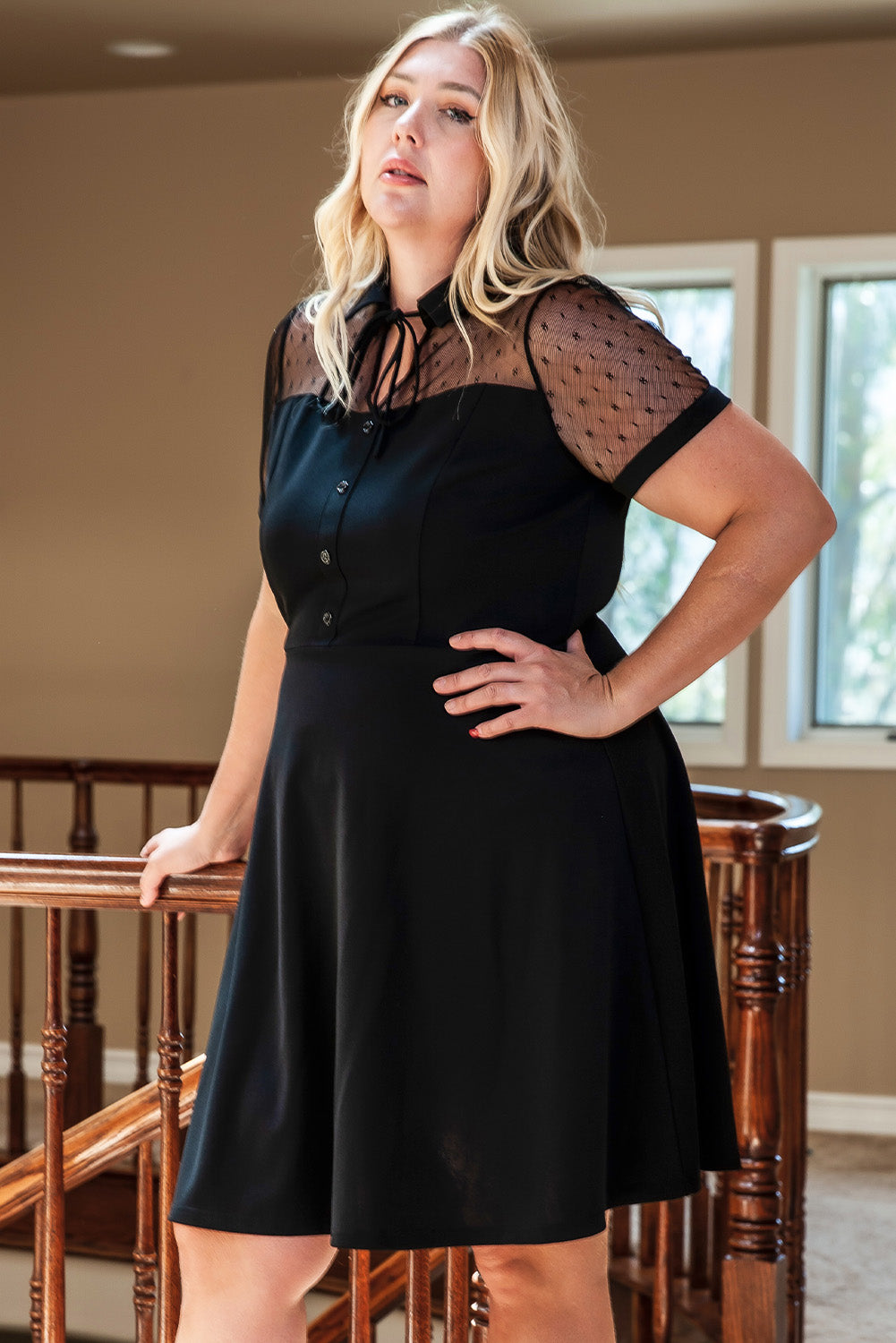 Black Plus Size Collared Mesh Yoke Fit Flare Dress