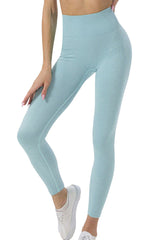 Sky Blue Solid Color Seamless Yoga Leggings