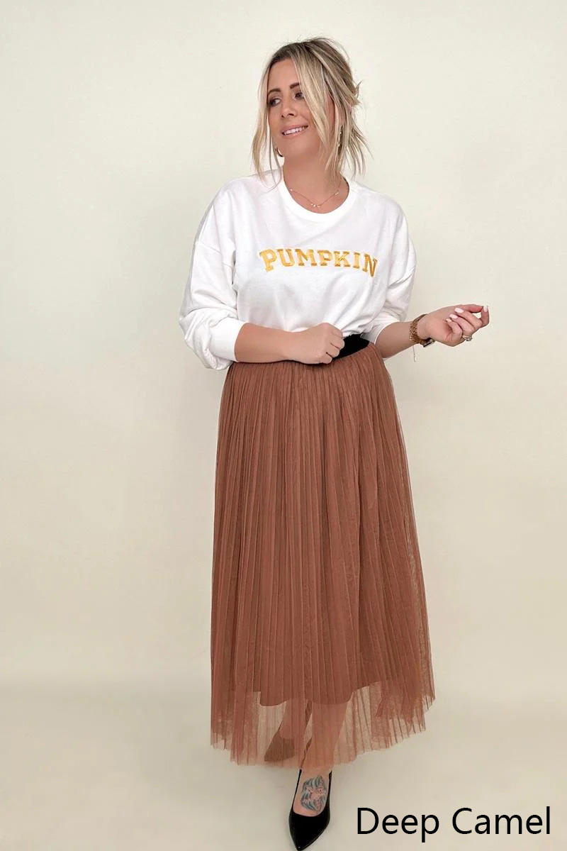 Amicg Mesh Pleated Maxi Skirt